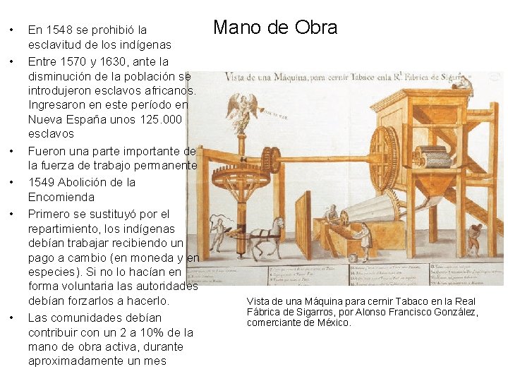  • • • En 1548 se prohibió la esclavitud de los indígenas Entre