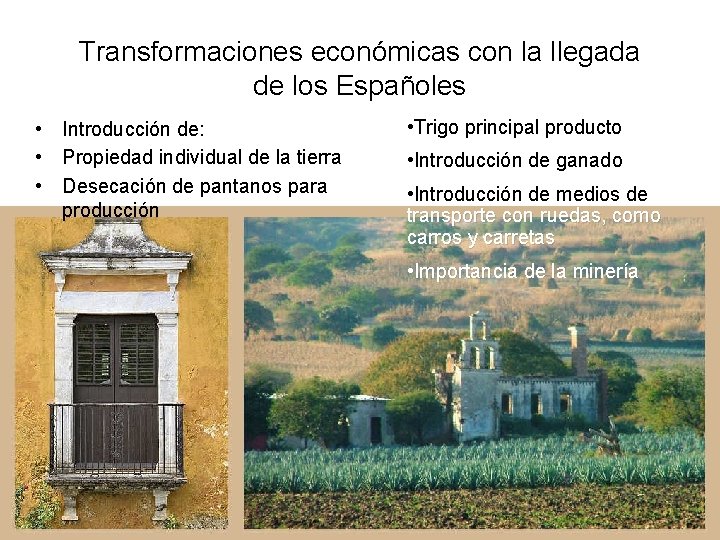 Transformaciones económicas con la llegada de los Españoles • Introducción de: • Propiedad individual