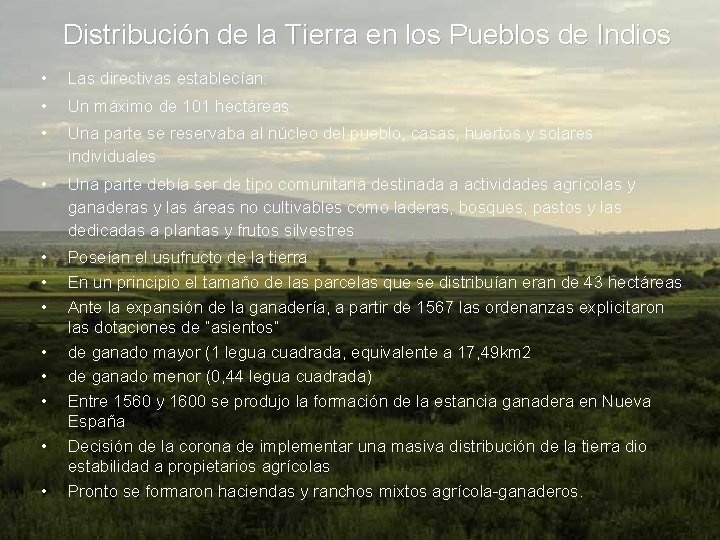 Distribución de la Tierra en los Pueblos de Indios • Las directivas establecían: •