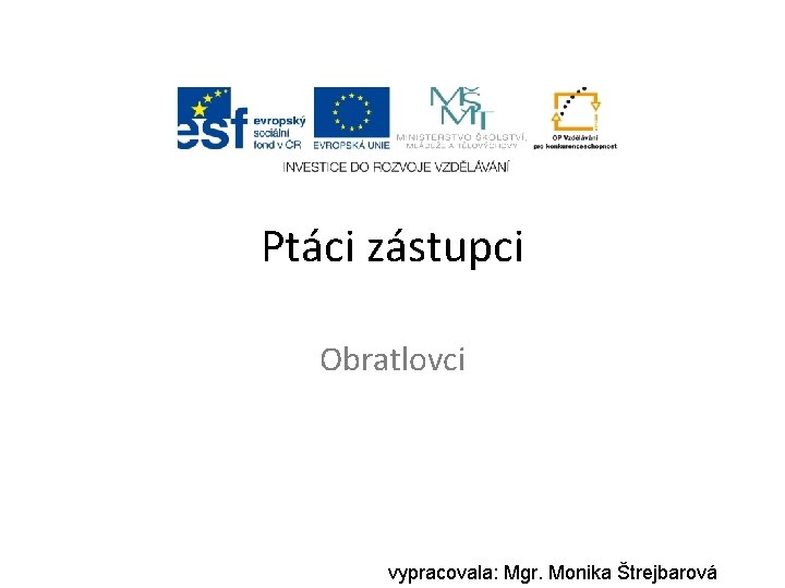 Ptáci zástupci Obratlovci vypracovala: Mgr. Monika Štrejbarová 