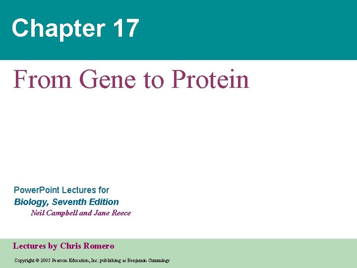 Chapter 17 From Gene to Protein Power. Point Lectures for Biology, Seventh Edition Neil