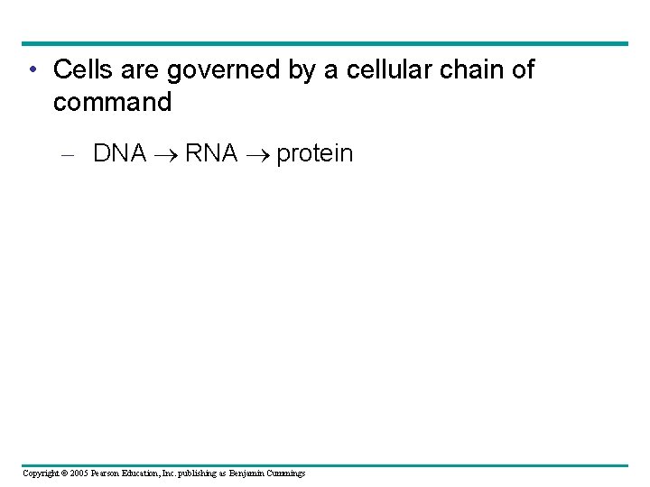  • Cells are governed by a cellular chain of command – DNA RNA