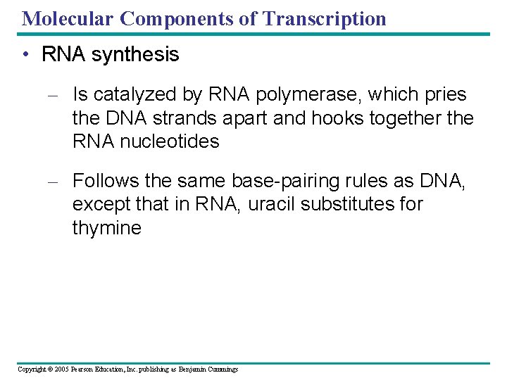 Molecular Components of Transcription • RNA synthesis – Is catalyzed by RNA polymerase, which