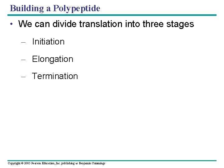 Building a Polypeptide • We can divide translation into three stages – Initiation –