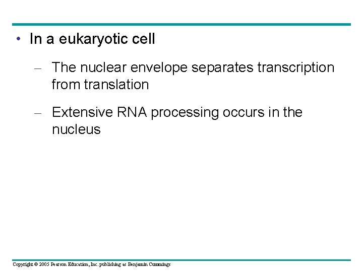 • In a eukaryotic cell – The nuclear envelope separates transcription from translation