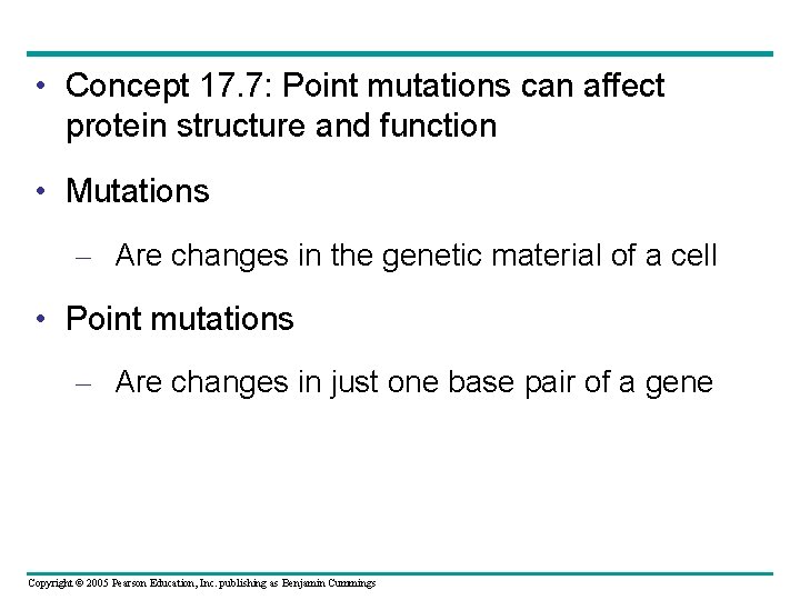  • Concept 17. 7: Point mutations can affect protein structure and function •