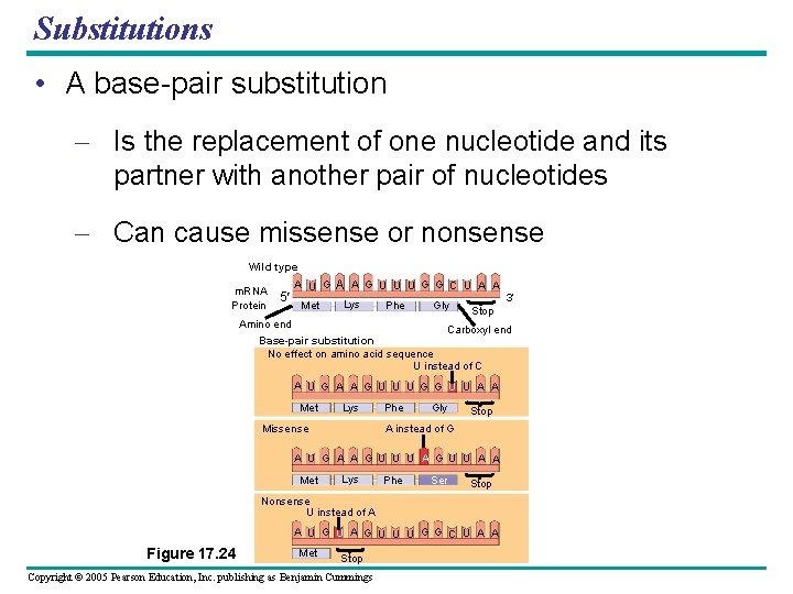 Substitutions • A base-pair substitution – Is the replacement of one nucleotide and its