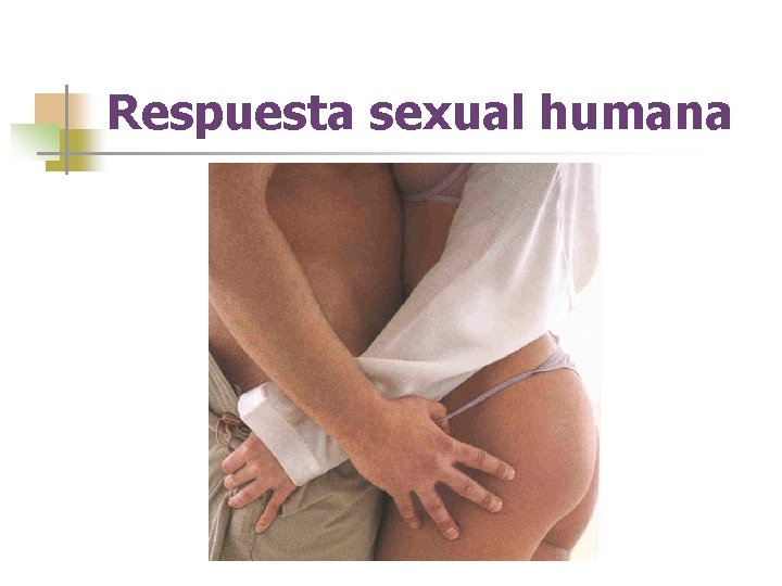 Respuesta sexual humana 