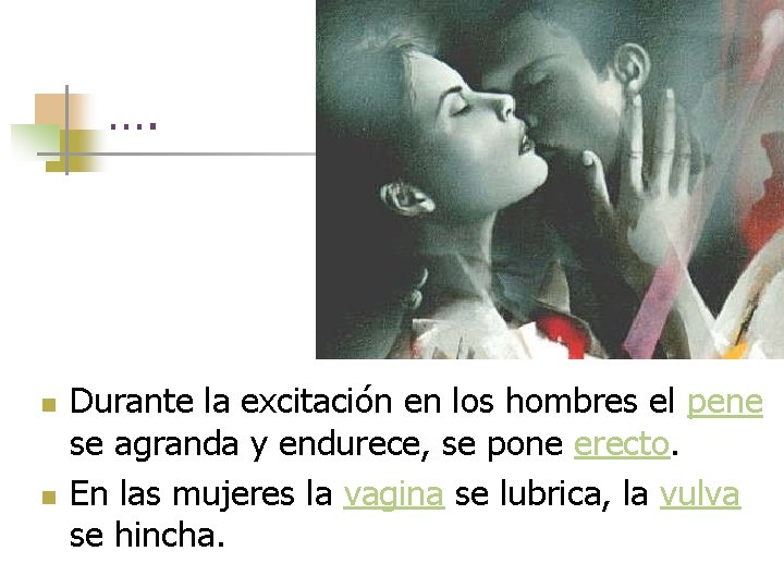 …. n n Durante la excitación en los hombres el pene se agranda y