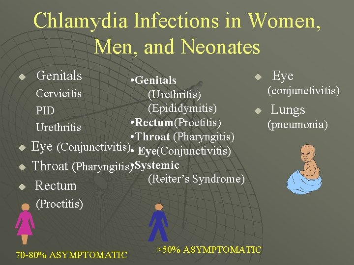 Chlamydia Infections in Women, Men, and Neonates u u Genitals • Genitals Cervicitis (Urethritis)