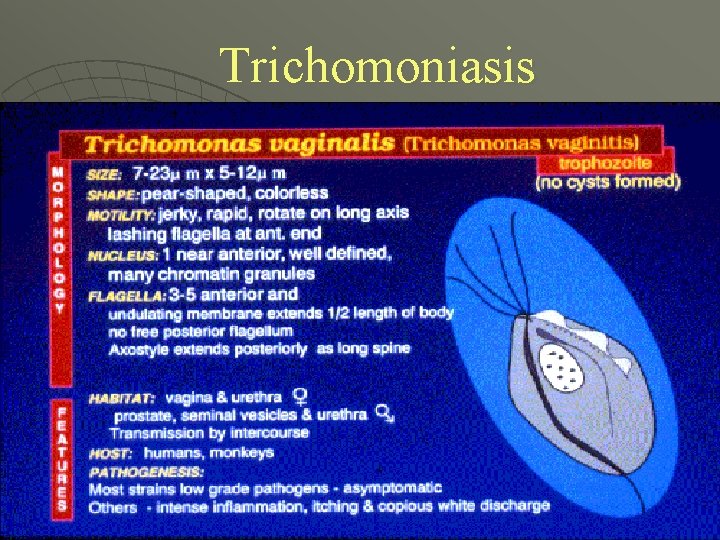 Trichomoniasis 