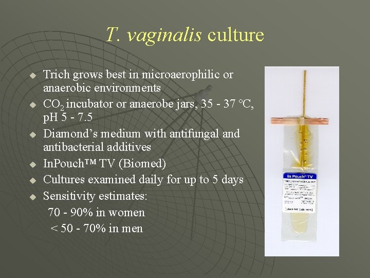 T. vaginalis culture u u u Trich grows best in microaerophilic or anaerobic environments