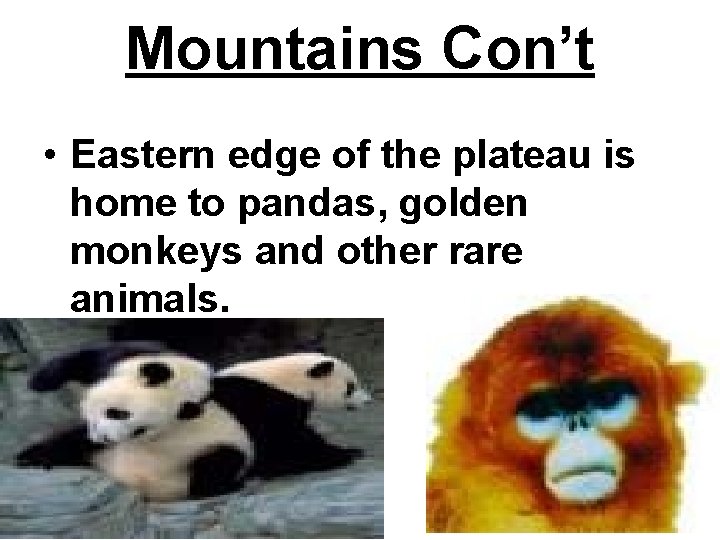 Mountains Con’t • Eastern edge of the plateau is home to pandas, golden monkeys