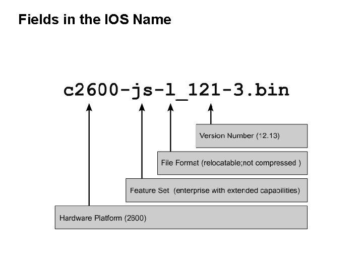 Fields in the IOS Name 