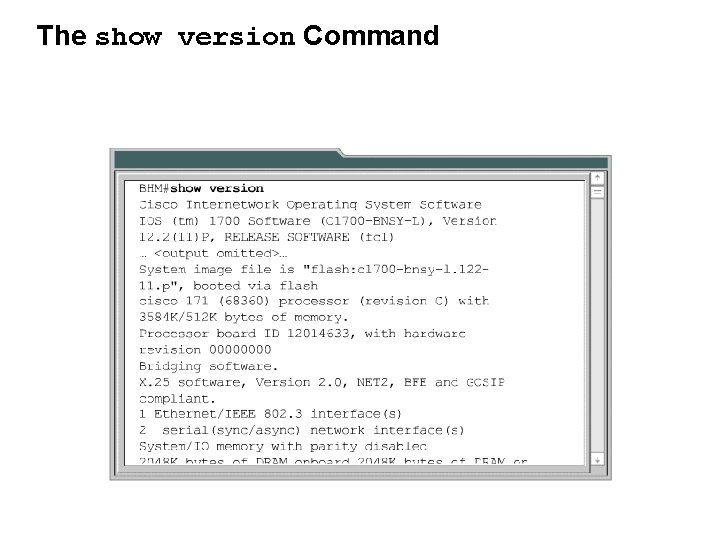 The show version Command 