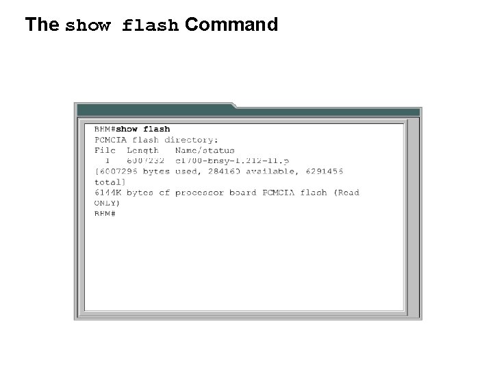 The show flash Command 