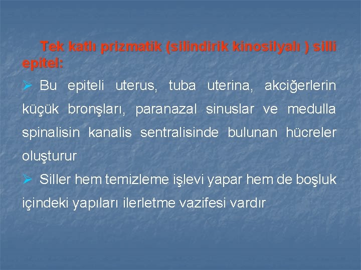 Tek katlı prizmatik (silindirik kinosilyalı ) silli epitel: Ø Bu epiteli uterus, tuba uterina,