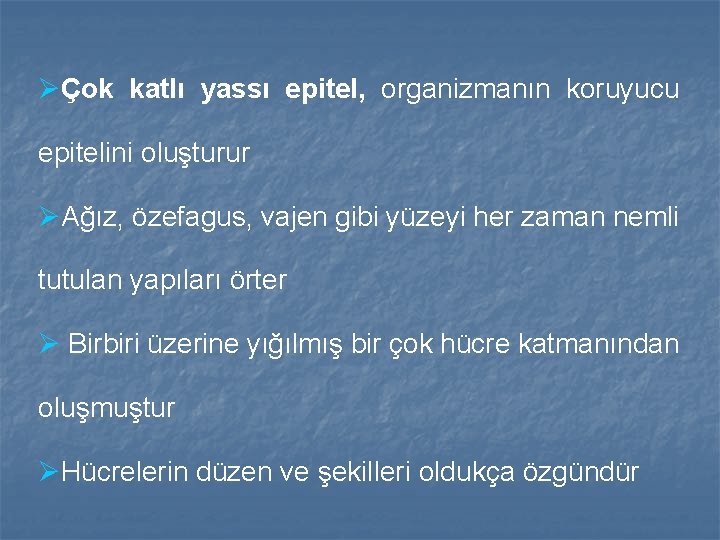 ØÇok katlı yassı epitel, organizmanın koruyucu epitelini oluşturur ØAğız, özefagus, vajen gibi yüzeyi her