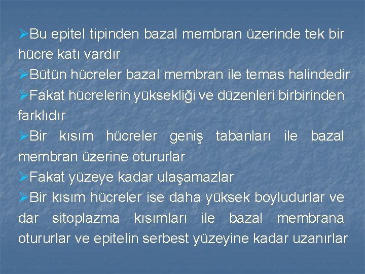 ØBu epitel tipinden bazal membran üzerinde tek bir hücre katı vardır ØBütün hücreler bazal