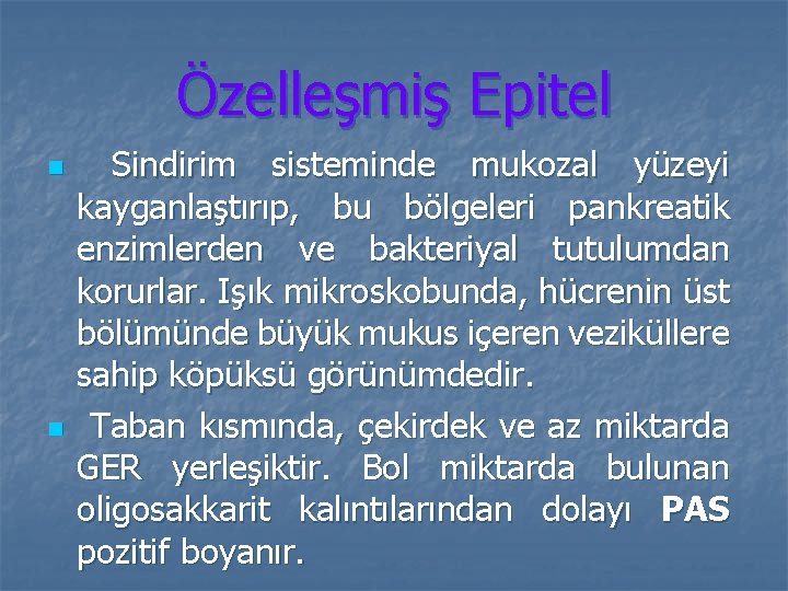 Özelleşmiş Epitel n n Sindirim sisteminde mukozal yüzeyi kayganlaştırıp, bu bölgeleri pankreatik enzimlerden ve