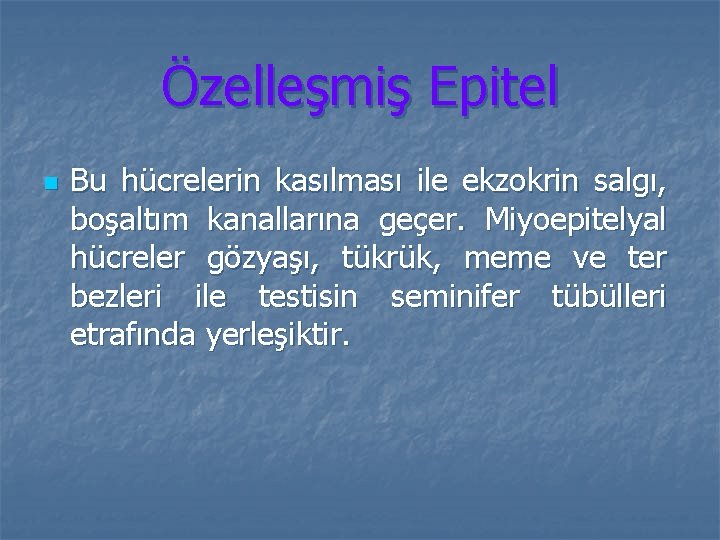 Özelleşmiş Epitel n Bu hücrelerin kasılması ile ekzokrin salgı, boşaltım kanallarına geçer. Miyoepitelyal hücreler