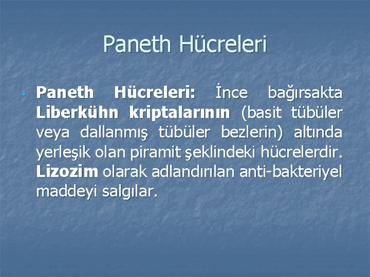 Paneth Hücreleri • Paneth Hücreleri: İnce bağırsakta Liberkühn kriptalarının (basit tübüler veya dallanmış tübüler