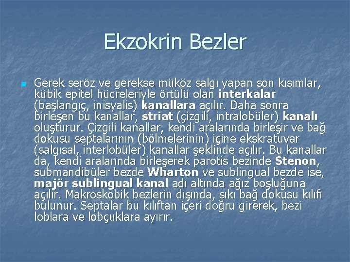 Ekzokrin Bezler n Gerek seröz ve gerekse müköz salgı yapan son kısımlar, kübik epitel