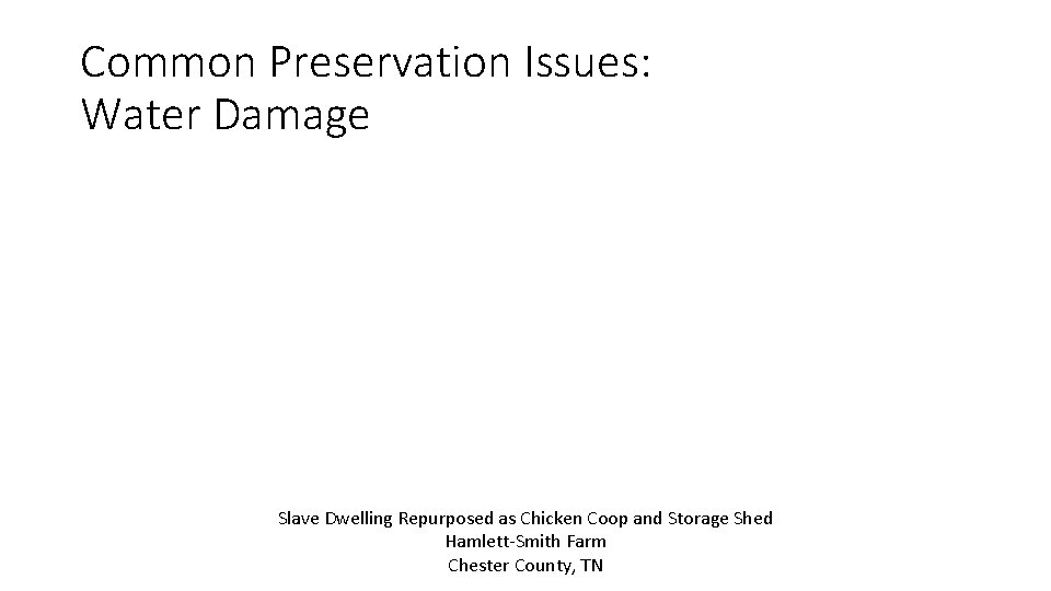 Common Preservation Issues: Water Damage Slave Dwelling Repurposed as Chicken Coop and Storage Shed