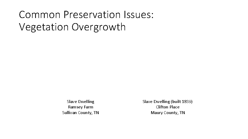 Common Preservation Issues: Vegetation Overgrowth Slave Dwelling Ramsey Farm Sullivan County, TN Slave Dwelling