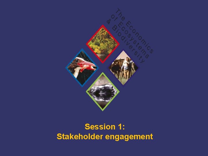 Session 1: Stakeholder engagement TEEB Training 