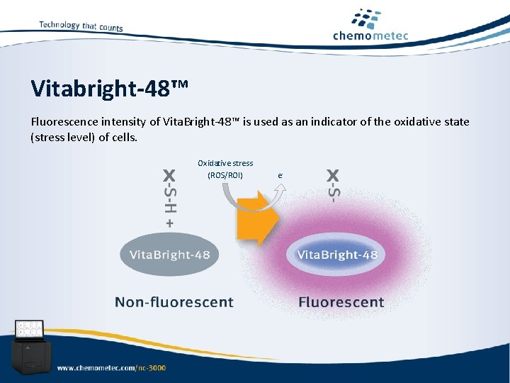 Vitabright-48™ Fluorescence intensity of Vita. Bright-48™ is used as an indicator of the oxidative