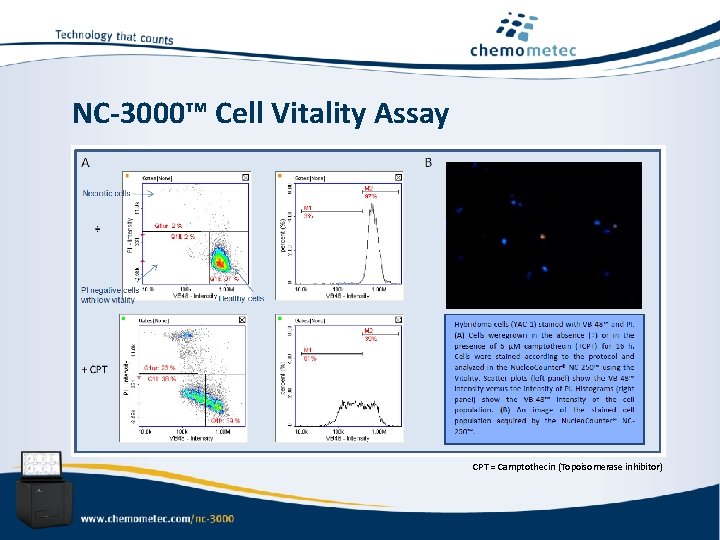 NC-3000™ Cell Vitality Assay CPT = Camptothecin (Topoisomerase inhibitor) 