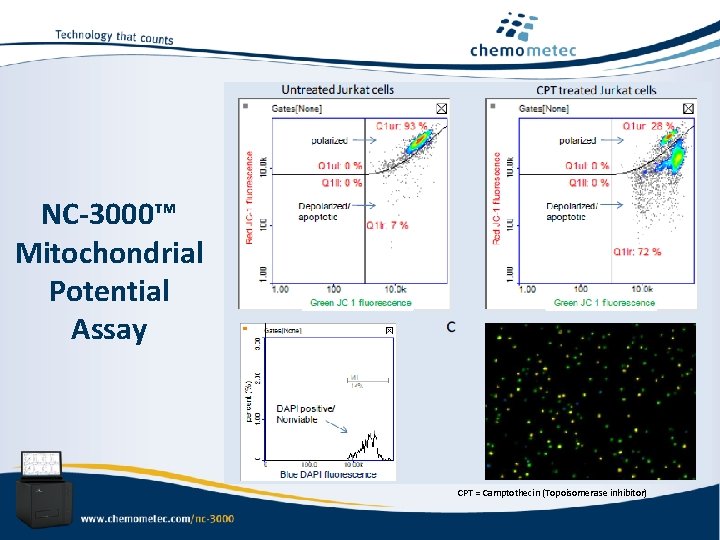 NC-3000™ Mitochondrial Potential Assay CPT = Camptothecin (Topoisomerase inhibitor) 