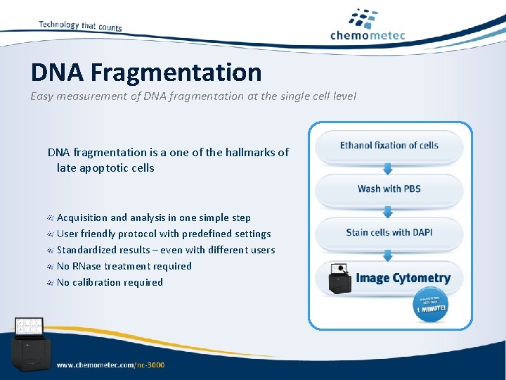 DNA Fragmentation Easy measurement of DNA fragmentation at the single cell level DNA fragmentation