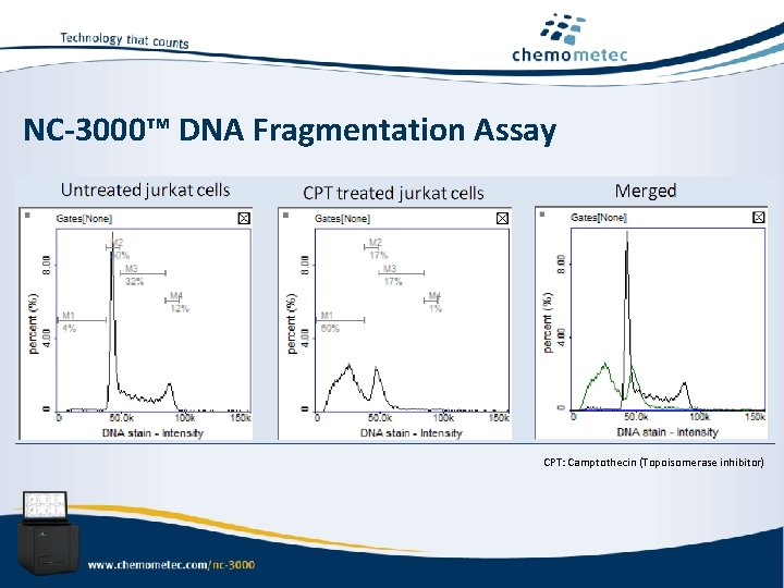 NC-3000™ DNA Fragmentation Assay CPT: Camptothecin (Topoisomerase inhibitor) 