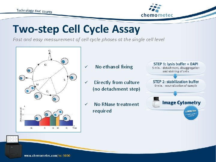 Two-step Cell Cycle Assay Fast and easy measurement of cell cycle phases at the