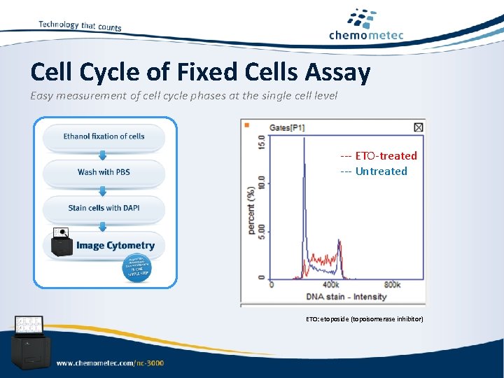 Cell Cycle of Fixed Cells Assay Easy measurement of cell cycle phases at the