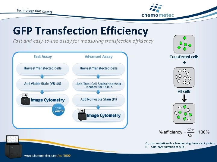 GFP Transfection Efficiency Fast and easy-to-use assay for measuring transfection efficiency Transfected cells +