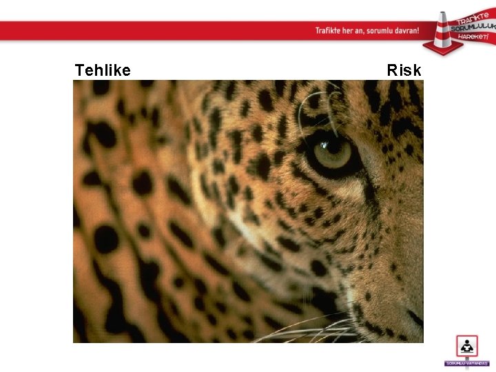 Tehlike Risk 
