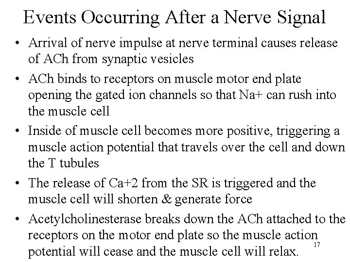 Events Occurring After a Nerve Signal • Arrival of nerve impulse at nerve terminal