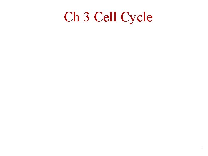 Ch 3 Cell Cycle 1 Ch 3 Cell Cycle 1