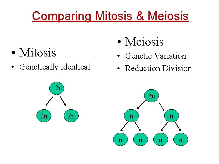 Comparing Mitosis & Meiosis • Mitosis • Genetically identical • Genetic Variation • Reduction Comparing Mitosis & Meiosis • Mitosis • Genetically identical • Genetic Variation • Reduction