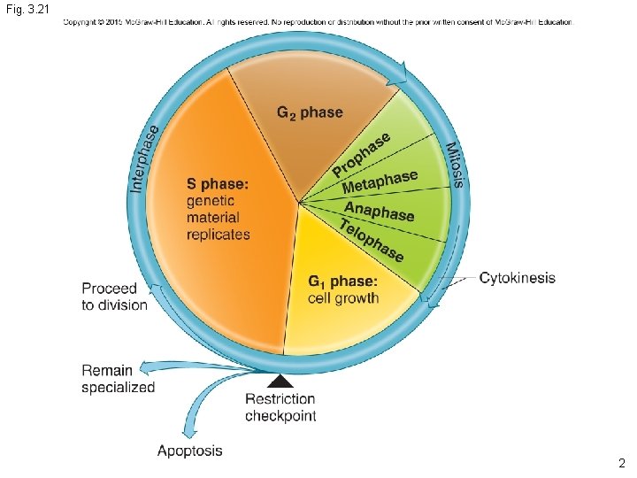 Fig. 3. 21 2 Fig. 3. 21 2