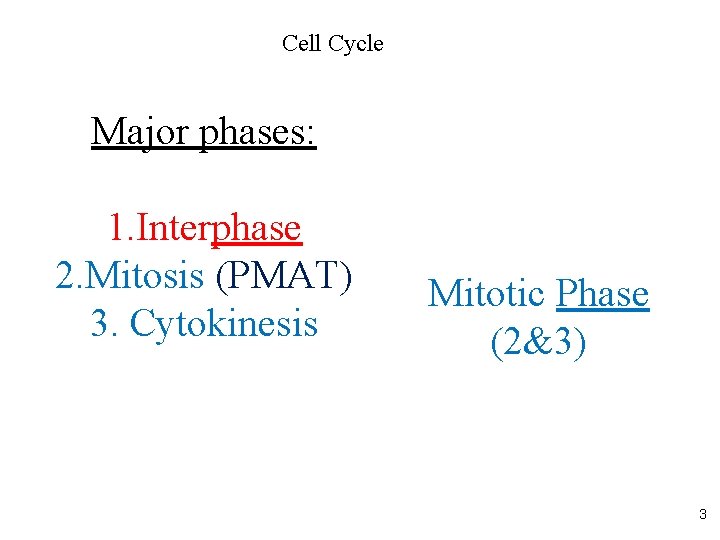 Cell Cycle Major phases: 1. Interphase 2. Mitosis (PMAT) 3. Cytokinesis Mitotic Phase (2&3) Cell Cycle Major phases: 1. Interphase 2. Mitosis (PMAT) 3. Cytokinesis Mitotic Phase (2&3)