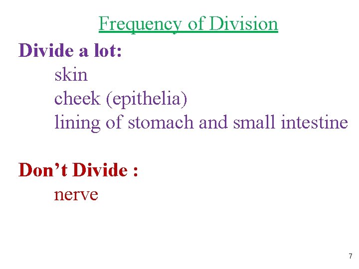Frequency of Division Divide a lot: skin cheek (epithelia) lining of stomach and small Frequency of Division Divide a lot: skin cheek (epithelia) lining of stomach and small