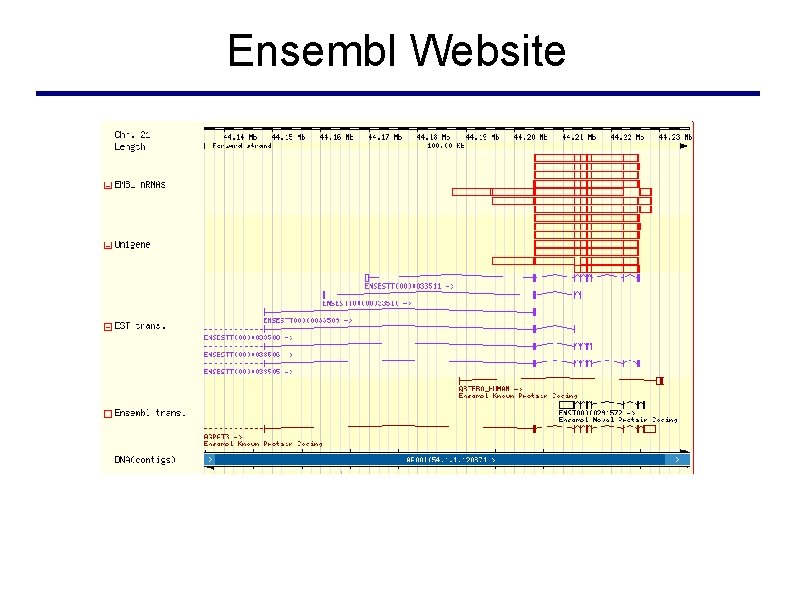 Ensembl Website 
