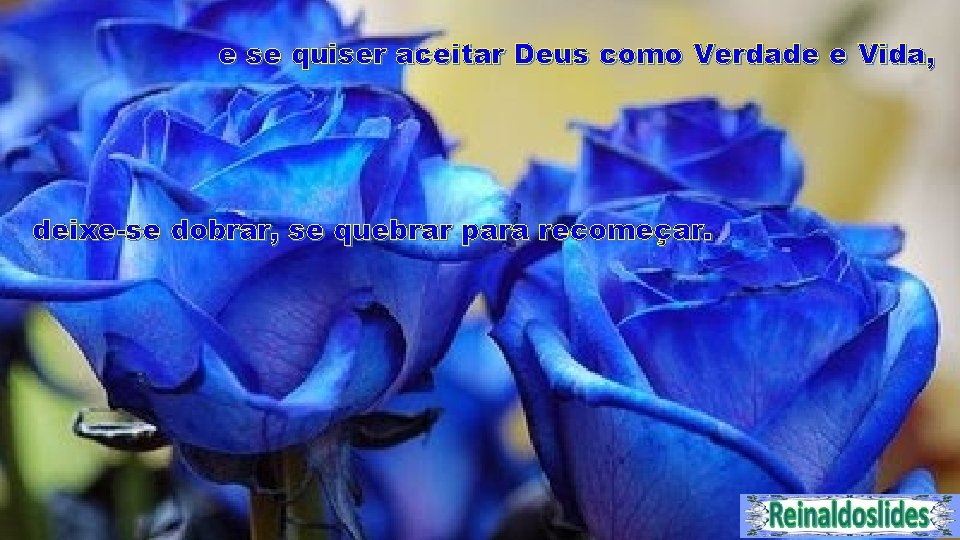 e se quiser aceitar Deus como Verdade e Vida , deixe-se dobrar, se quebrar