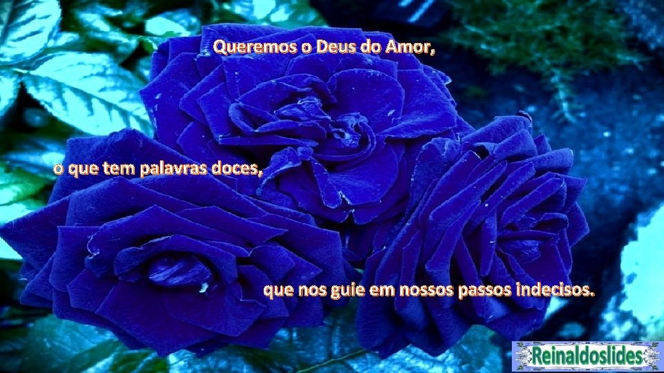 Queremos o Deus do Amor, o que tem palavras doces, que nos guie em