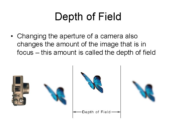 Depth of Field • Changing the aperture of a camera also changes the amount