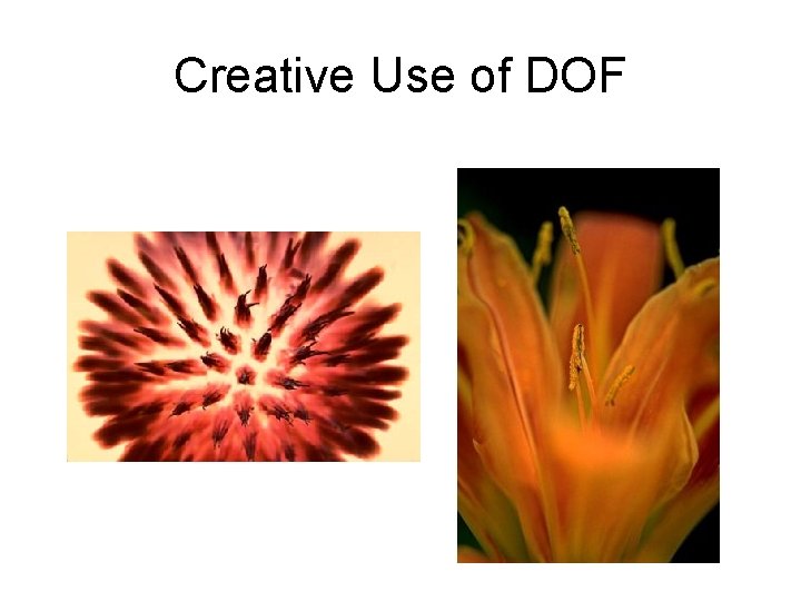 Creative Use of DOF 